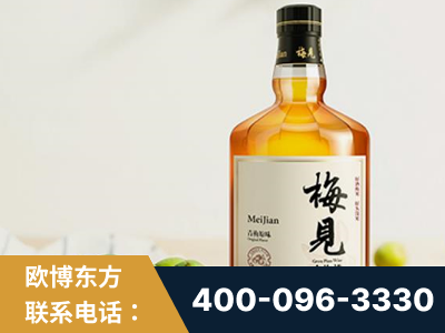 德兴-梅见青梅酒